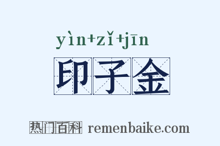 印子金是什么意思的图片